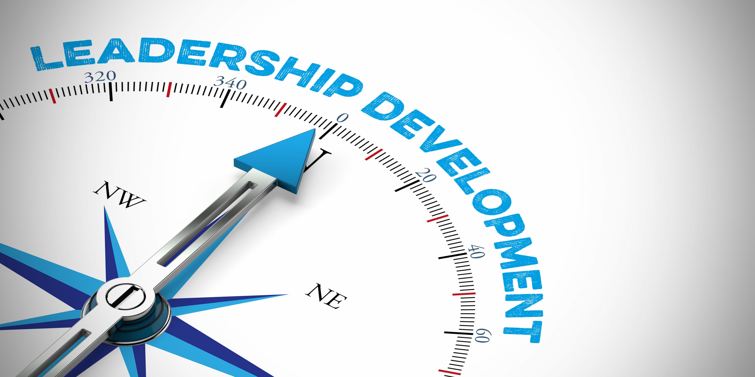Effective-Leadership-Development